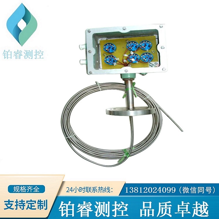 多點防爆熱電偶-鉑睿測控