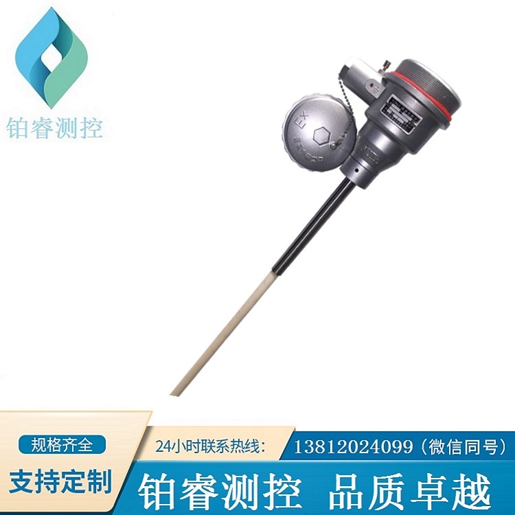 EXdⅡCT6防爆熱電偶-鉑睿測(cè)控