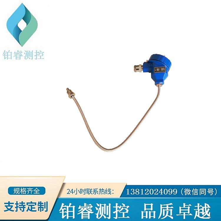 防爆鎧裝熱電偶-鉑睿測(cè)控