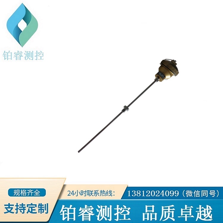 防腐鎧裝熱電偶（鈦保護管）-鉑睿測控