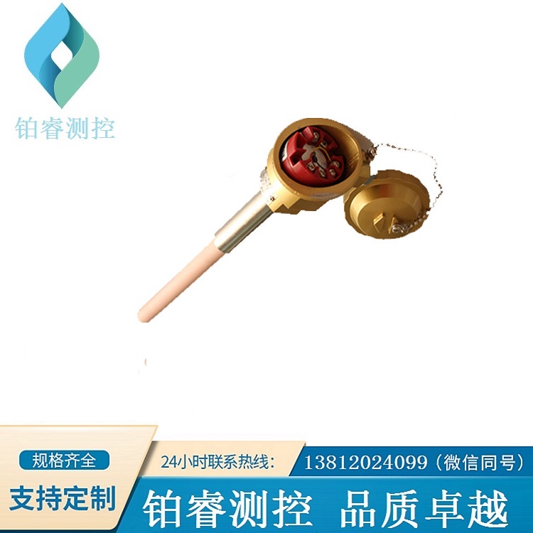 帶溫度變送器輸出鉑銠熱電偶-鉑睿測(cè)控