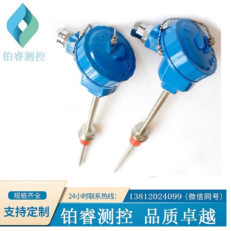鎧裝防爆熱電阻WZPK-24S-鉑睿測(cè)控