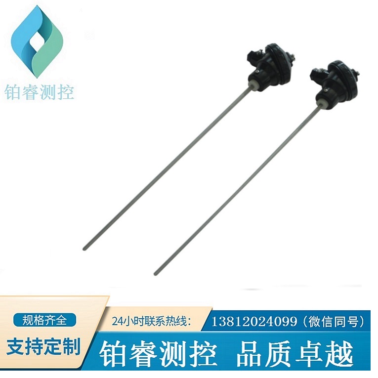 防腐熱電阻/鈦保護管-鉑睿測控